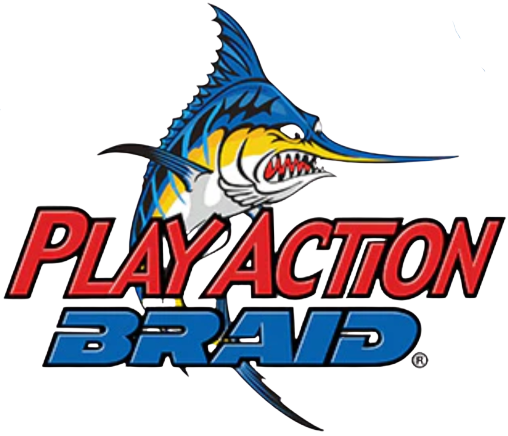 Braid Logo