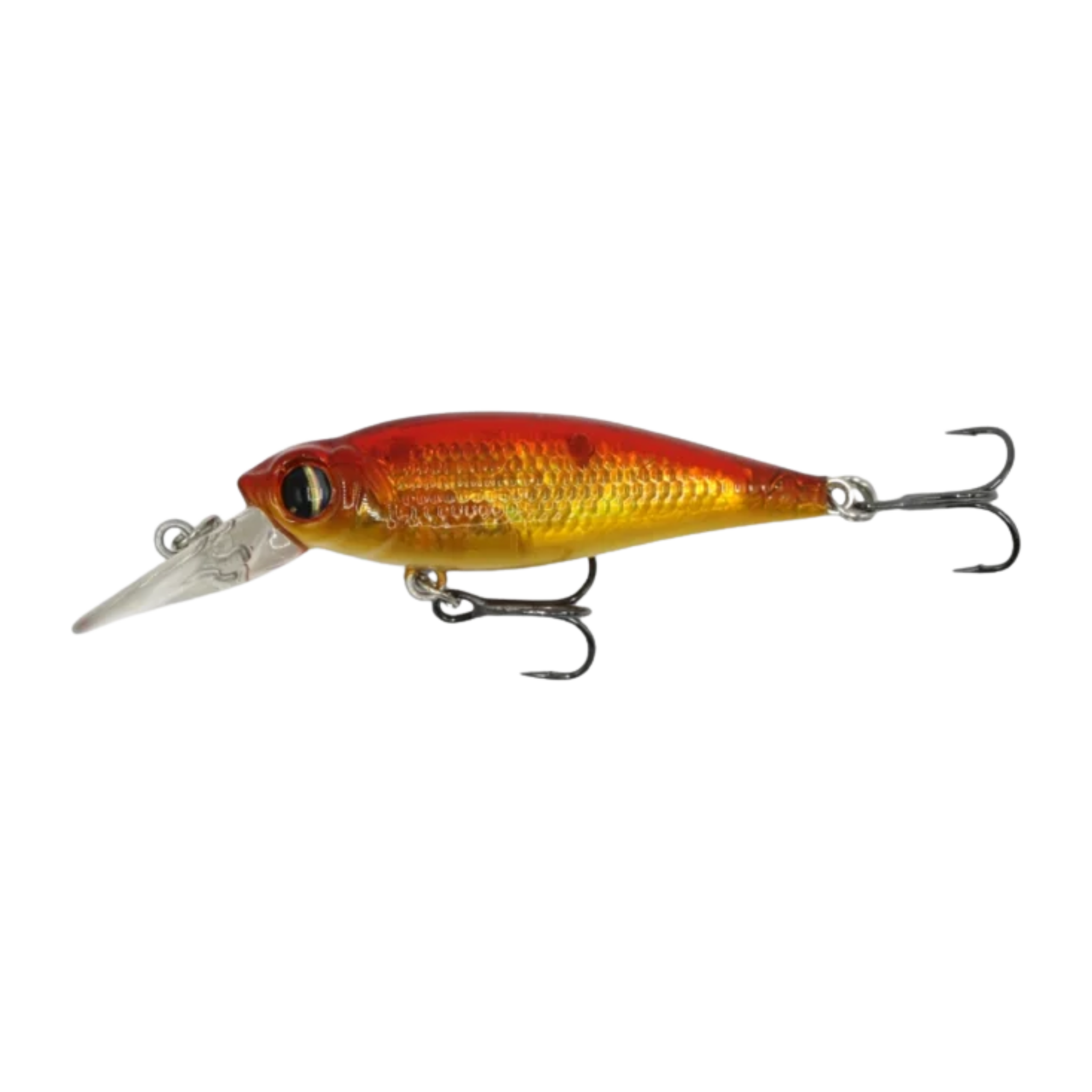 Owner Cultiva Mira Shad