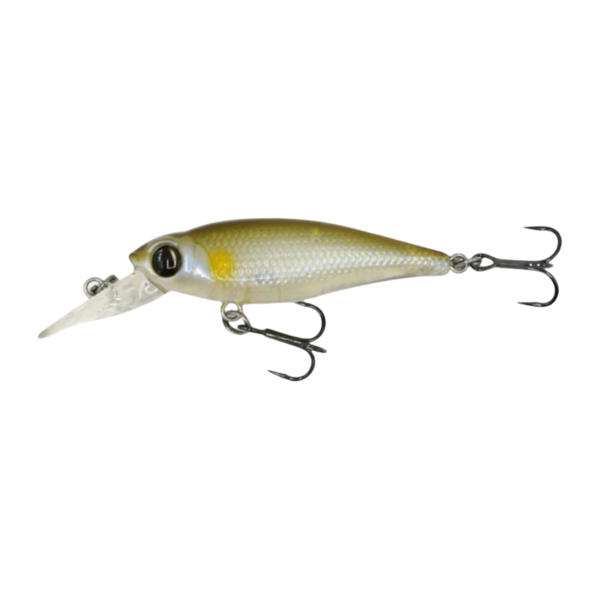 Owner Cultiva Mira Shad